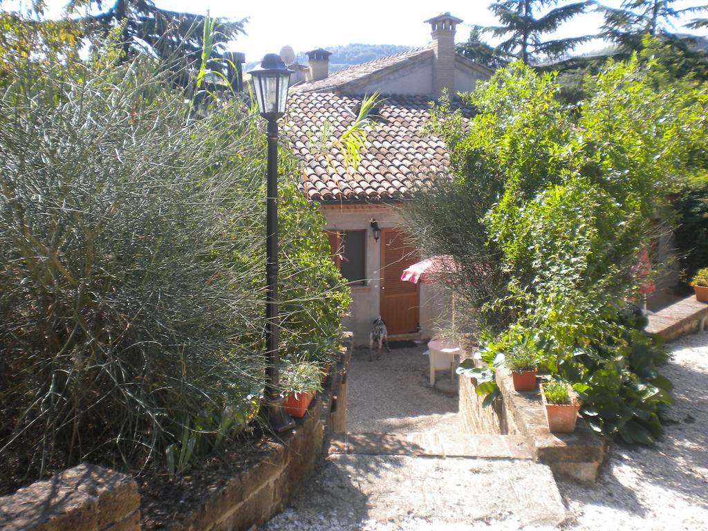 Agriturismo Le Vergare Offagna ภายนอก รูปภาพ